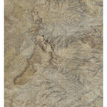 CA-Homewood Canyon: GeoChange 1976-2012 Preview 1