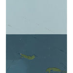 WA-Sucia Island: GeoChange 1972-2011 Preview 1