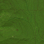 WA-Finney Peak: GeoChange 1963-2011 Preview 2