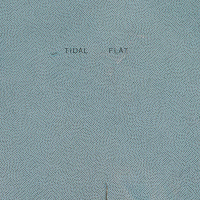 VA-Cobb Island: GeoChange 1967-2012 Preview 3