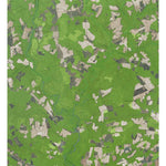 VA-Raynor: GeoChange 1966-2012 Preview 1