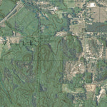 MI-Mesick: GeoChange 1983-2012 Preview 3