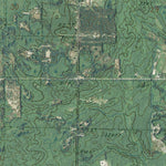 MI-Fife Lake: GeoChange 1983-2012 Preview 3