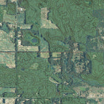 MI-Newaygo: GeoChange 1981-2012 Preview 2