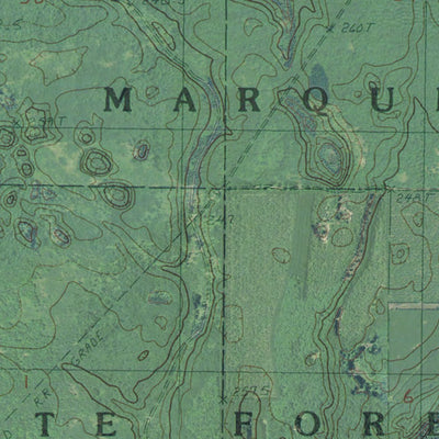 MI-Platte River: GeoChange 1977-2012 Preview 2