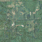 MI-Chippewa Lake North: GeoChange 1981-2012 Preview 3