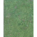 WI-Empire Swamp: GeoChange 1979-2010 Preview 1