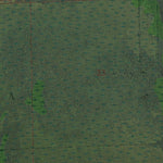 MI-Palms: GeoChange 1959-2012 Preview 3