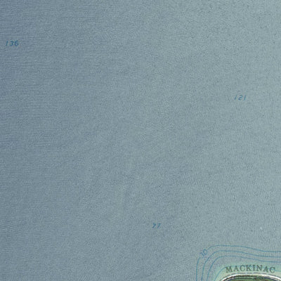 MI-Evergreen Shores: GeoChange 1964-2012 Preview 3