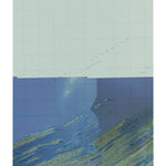 MI-Belle Harbor: GeoChange 1981-2012 Preview 1