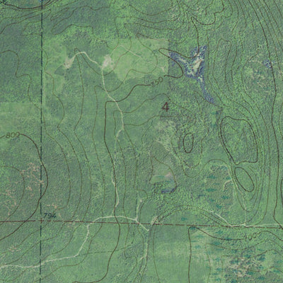 MI-ON-Goetzville: GeoChange 1954-55-2012 Preview 2