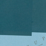 WI-Amnicon Point: GeoChange 1963-2010 Preview 2