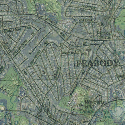 MA-Reading East: GeoChange 1978-2012 Preview 3