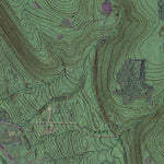 NY-Bristol Springs: GeoChange 1942-2011 Preview 3