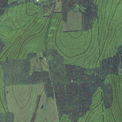 NY-Otselic: GeoChange 1942-2011 Preview 2