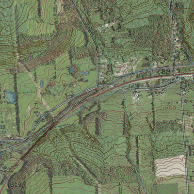 NY-Beaver Dams: Geochange 1942 2009 Preview 2