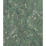NY-Truxton: Geochange 1942 2011 Preview 1