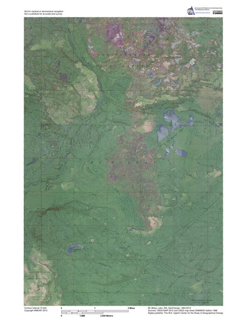 MI-Betsy Lake SW: GeoChange 1964-2012 Preview 1