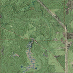 WI-Coleman Lake: GeoChange 1971-2010 Preview 2