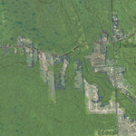 NY-Hannibal: GeoChange 1942-2011 Preview 3