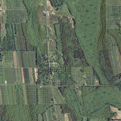 NY-Rose: GeoChange 1942-2011 Preview 3