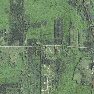 NY-Birdsall: GeoChange 1963-2011 Preview 3