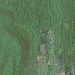 NY-Bradford: GeoChange 1944-2011 Preview 2