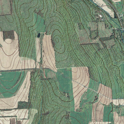 NY-Homer: Geochange 1942 2011 Preview 2
