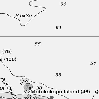 Chart NZ 53 Bream Head to Slipper Island including Hauraki Gulf Preview 2