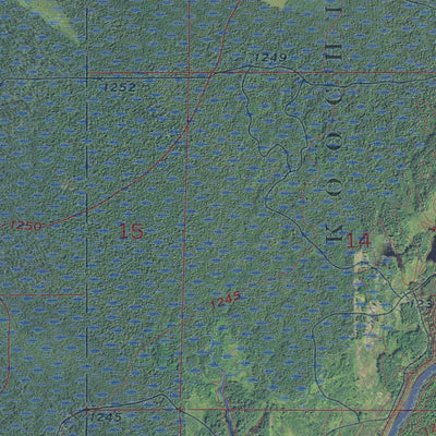 MN-BIG FALLS SE: GeoChange 1969-2013 Preview 3