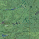 MN-NETT LAKE NE: GeoChange 1966-2013 Preview 2