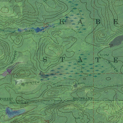 MN-NETT LAKE NE: GeoChange 1966-2013 Preview 2