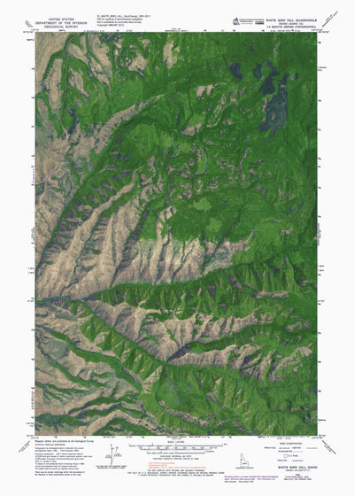 ID-WHITE BIRD HILL: GeoChange 1961-2011 Preview 1
