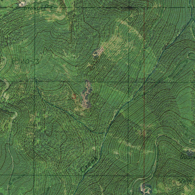 OR-STALEY RIDGE: GeoChange 1980-2012 Preview 2
