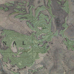 NV-WILDCAT PEAK: GeoChange 1956-2010 Preview 2