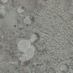 NV-COW CAMP: GeoChange 1974-2010 Preview 2