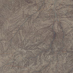 NV-HAYSTACK PEAK: GeoChange 1972-2010 Preview 3