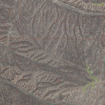 NV-WINE CUP RANCH SE: GeoChange 1967-2010 Preview 3