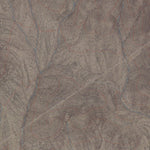 NV-ID-STAR VALLEY RIDGE EAST: GeoChange 1972-2010 Preview 3