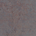 ID-RATTLESNAKE BUTTE: GeoChange 1971-2013 Preview 3