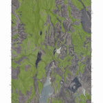 NV-CA-CROOKS MEADOW: GeoChange 1965-2010 Preview 1