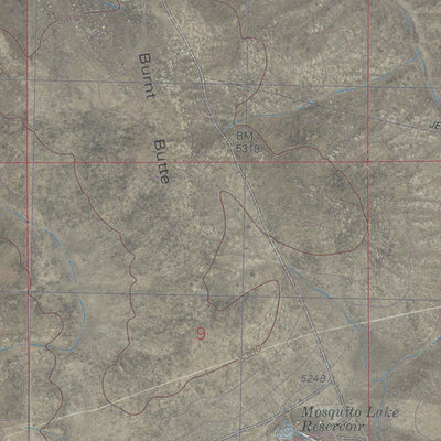 ID-MOSQUITO LAKE BUTTE: GeoChange 1973-2013 Preview 3