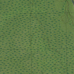 NC-CATFISH LAKE: GeoChange 1977-2012 Preview 3