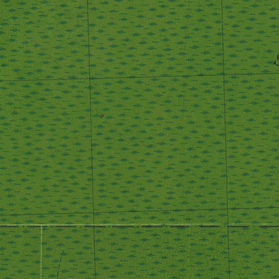 NC-PIN HOOK: GeoChange 1977-2012 Preview 2