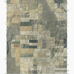 CO-N OF BRANDON: GeoChange 1975-2011 Preview 1