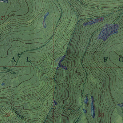 CO-ANTONE SPRING: GeoChange 1964-2011 Preview 2