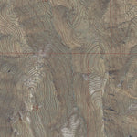 ID-CHILLY BUTTES: GeoChange 1966-2013 Preview 3