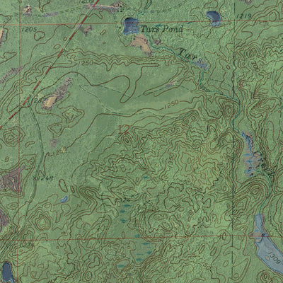 WI-UPPER EAU CLAIRE LAKE: GeoChange 1970-2010 Preview 2