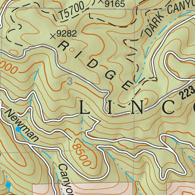 Lincoln National Forest Quadrangle: BLUFF SPRINGS Preview 3