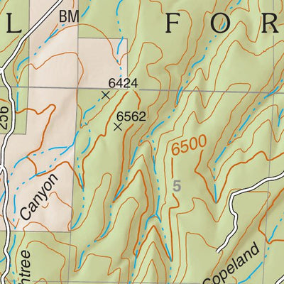 Lincoln National Forest Quadrangle: KYLE HARRISON CANYON Preview 3